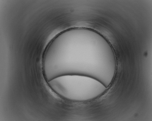 X0000093570990200710151013
