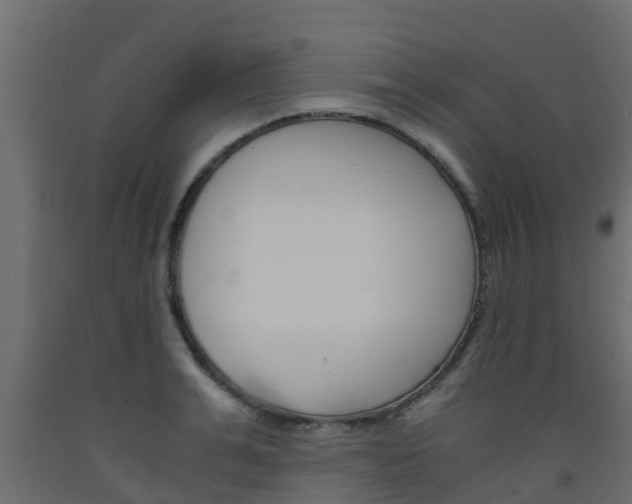 X0000093570991200710151013