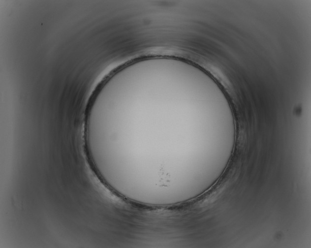 X0000093570992200710151013