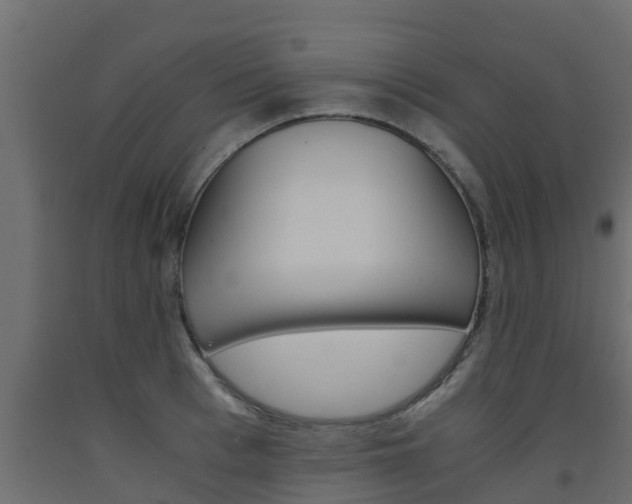 X0000093570993200710151013