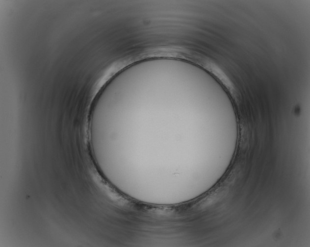 X0000093570994200710151013