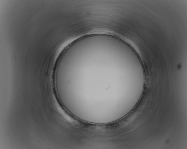 X0000093570995200710151013
