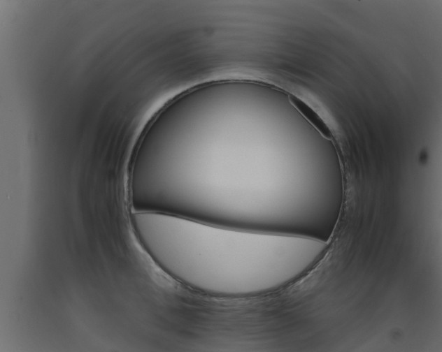 X0000093570996200710151012