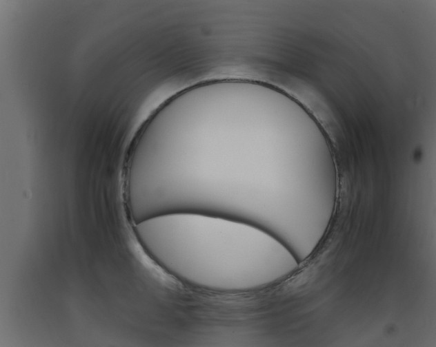 X0000093570998200710151012