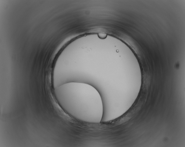X0000093571000200710151012