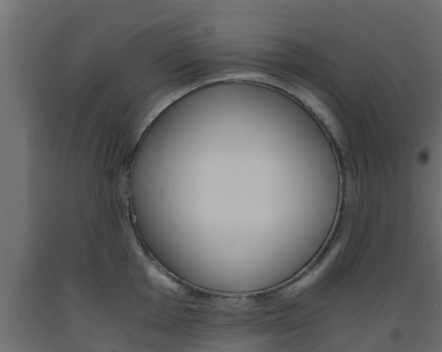X0000093571001200710151012