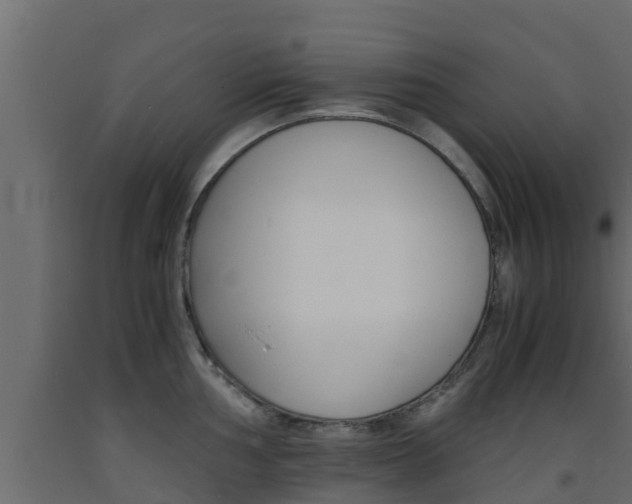 X0000093571002200710151012