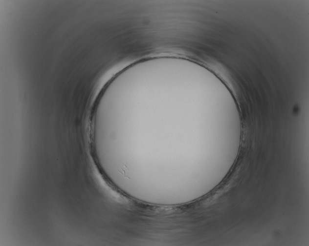 X0000093571003200710151012