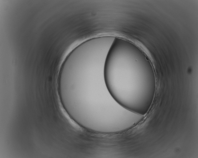 X0000093571005200710151012