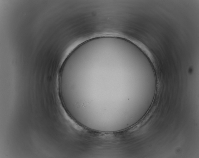 X0000093571006200710151012