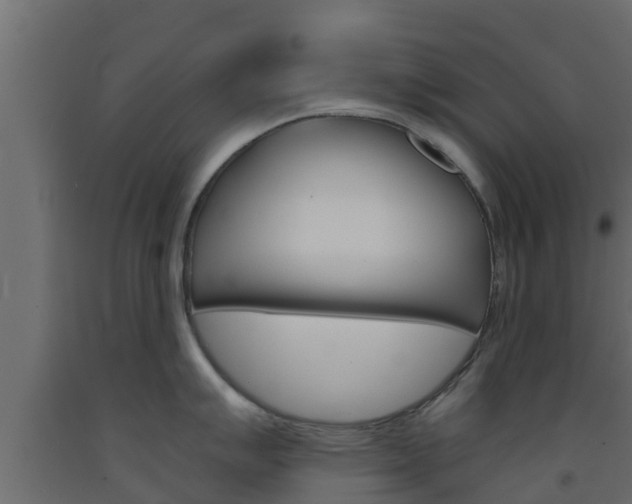 X0000093571007200710151012