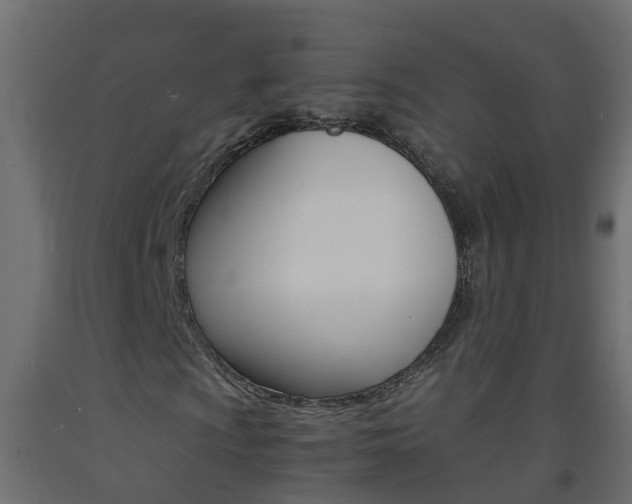 X0000093571009200710151012