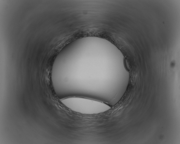 X0000093571010200710151012