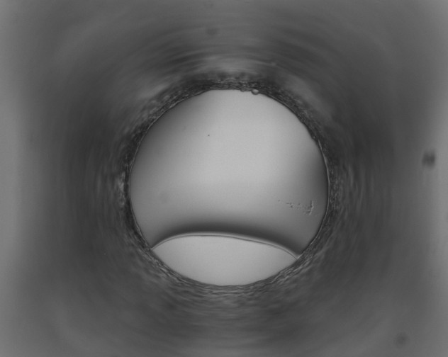 X0000093571013200710151012
