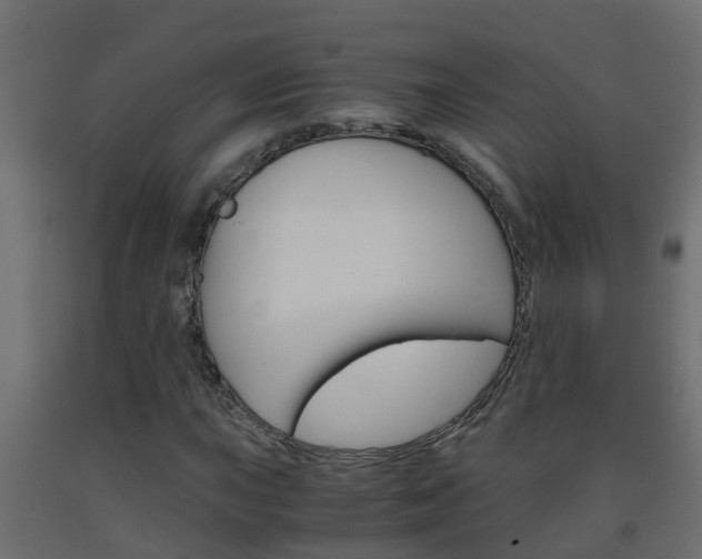 X0000093571015200710151012