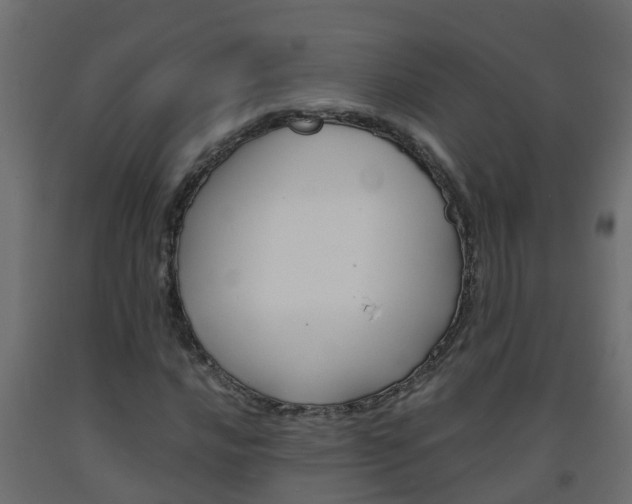 X0000093571016200710151012
