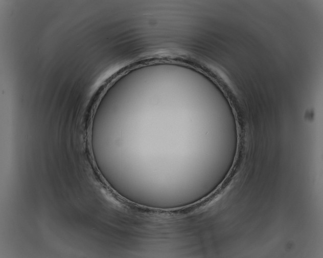 X0000093571018200710151012