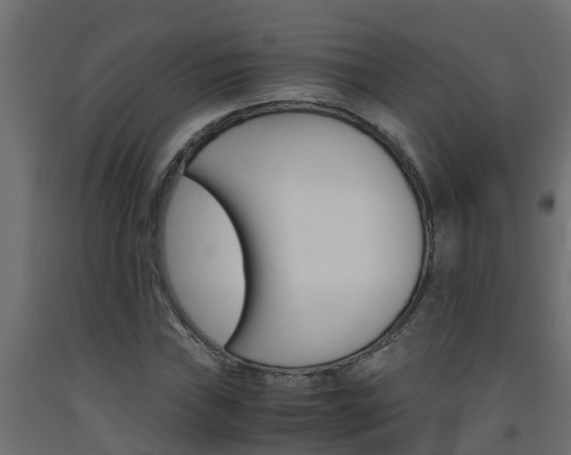 X0000093571019200710151012