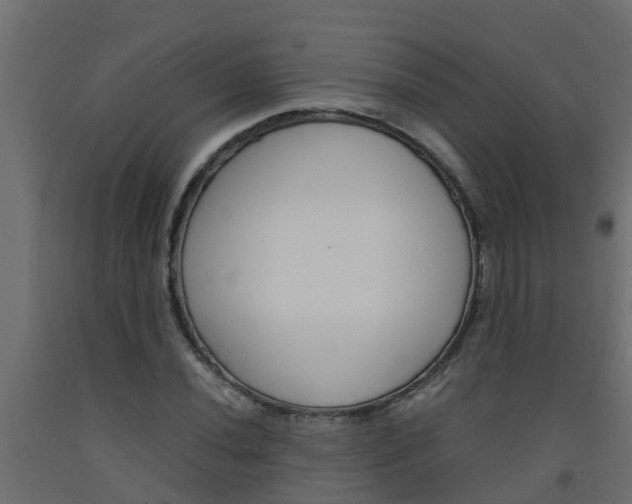 X0000093571020200710151012