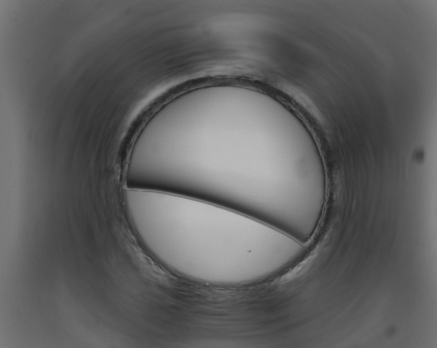 X0000093571021200710151012