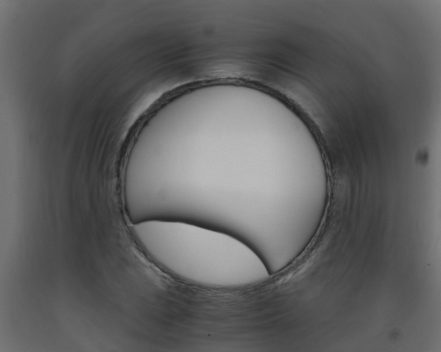 X0000093571023200710151012