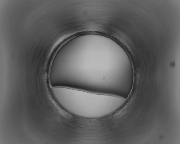 X0000093571024200710151012