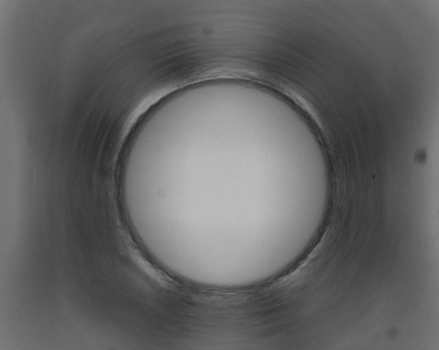 X0000093571026200710151012