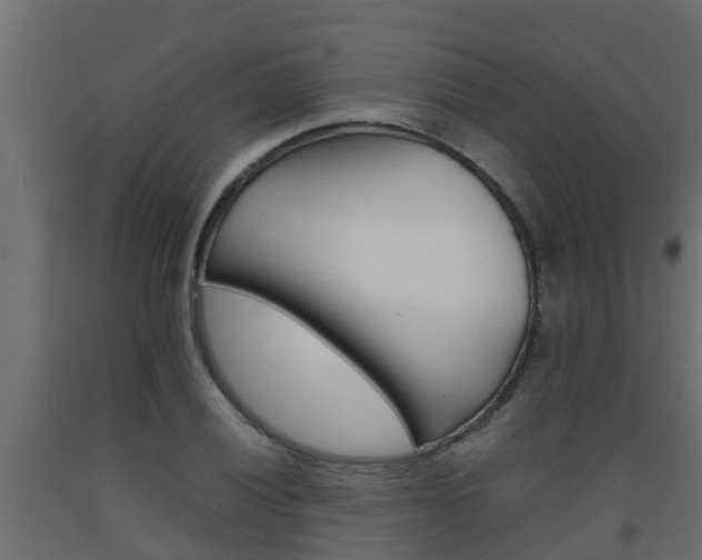 X0000093571028200710151012
