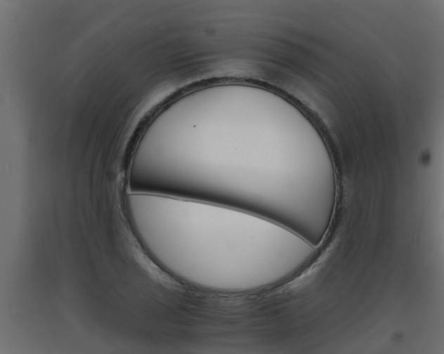 X0000093571029200710151012
