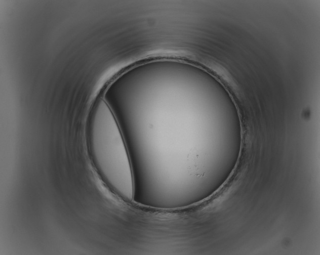 X0000093571030200710151012