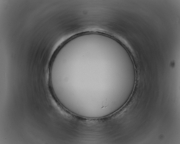 X0000093571032200710151012