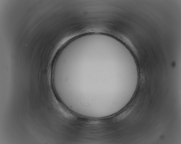 X0000093571035200710151012