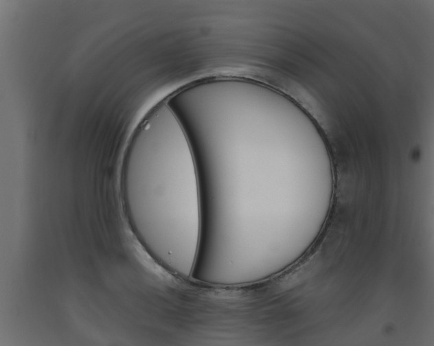X0000093571036200710151012