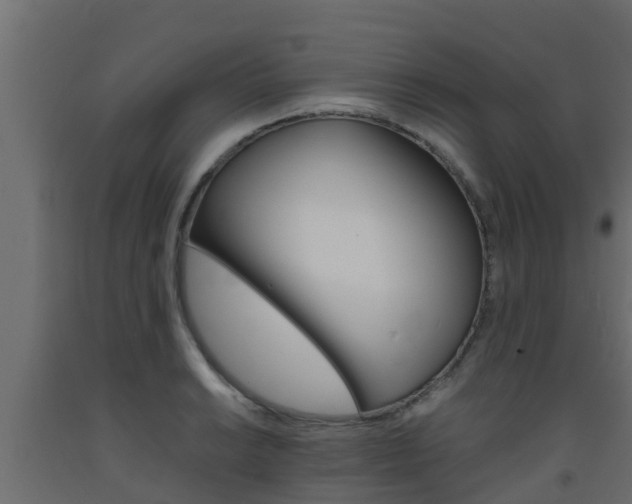X0000093571038200710151012