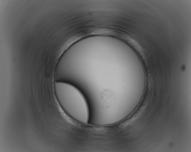 X0000093571041200710151012