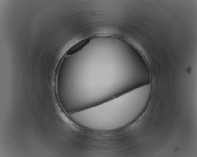 X0000093571042200710151012