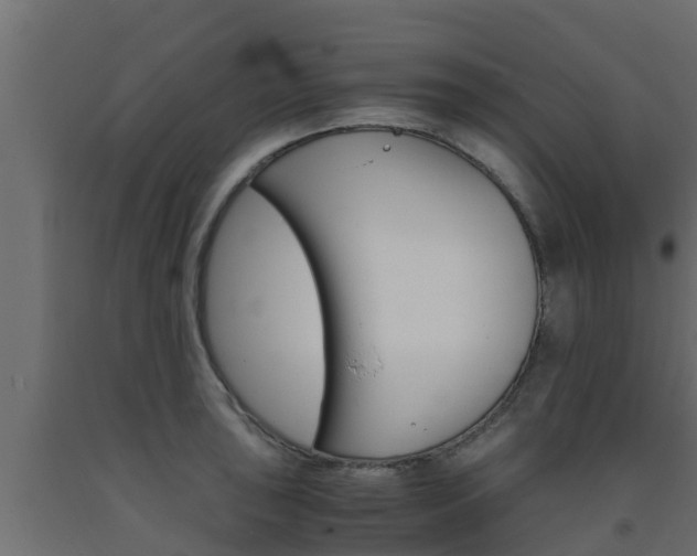 X0000093571043200710151012