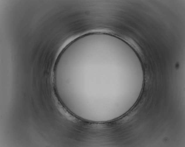 X0000093571044200710151012