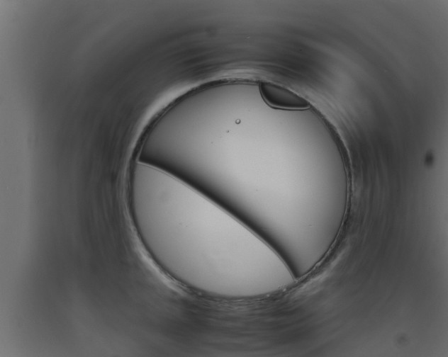 X0000093571045200710151012