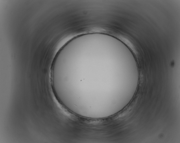 X0000093571047200710151012