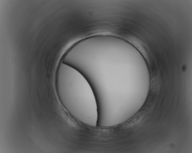 X0000093571051200710151012