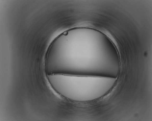 X0000093571053200710151012