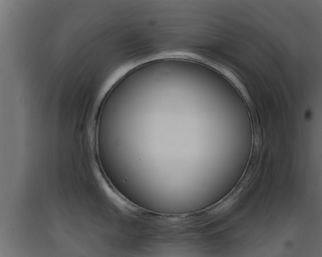 X0000093571054200710151012