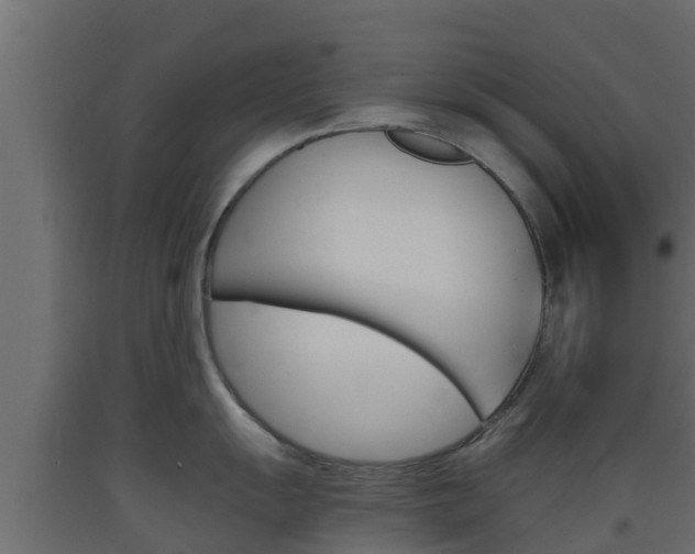 X0000093571055200710151012