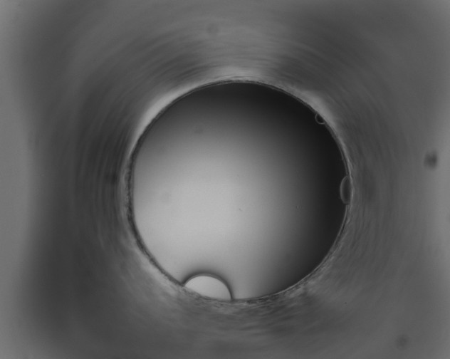 X0000093571056200710151012