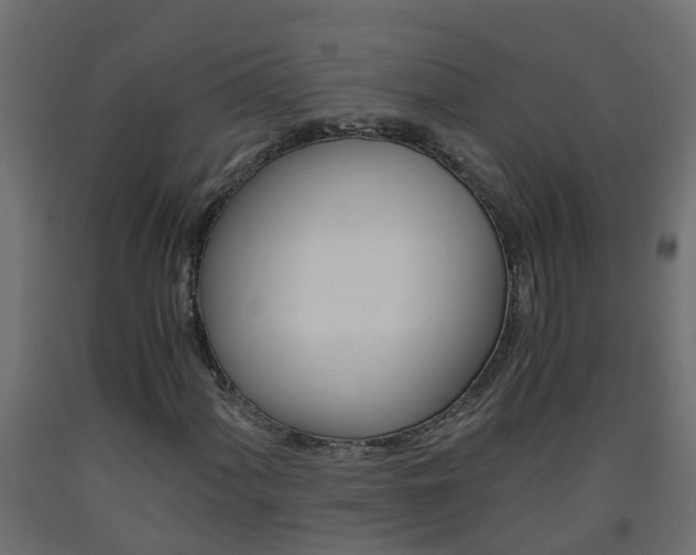 X0000093571060200710151012
