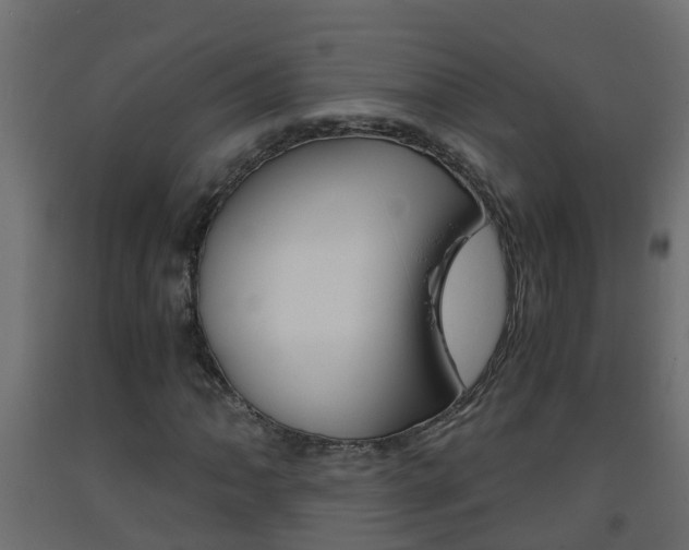 X0000093571062200710151012