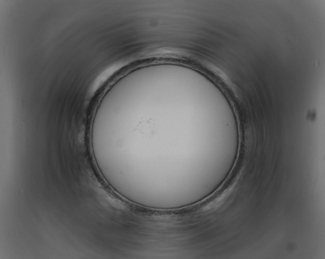 X0000093571066200710151012