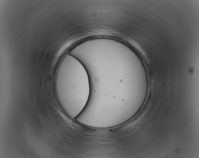X0000093571067200710151012