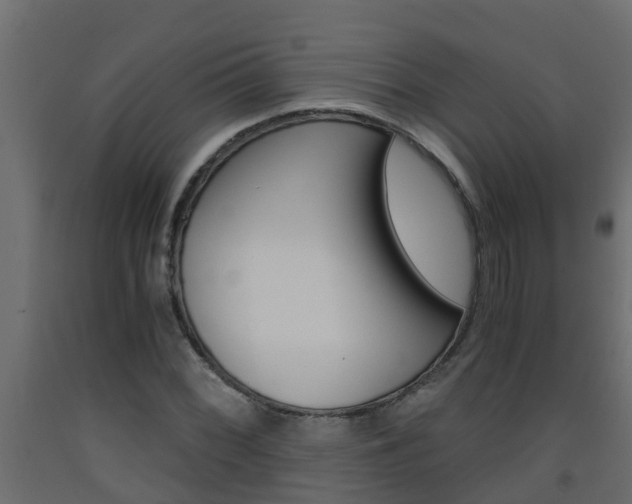 X0000093571068200710151012